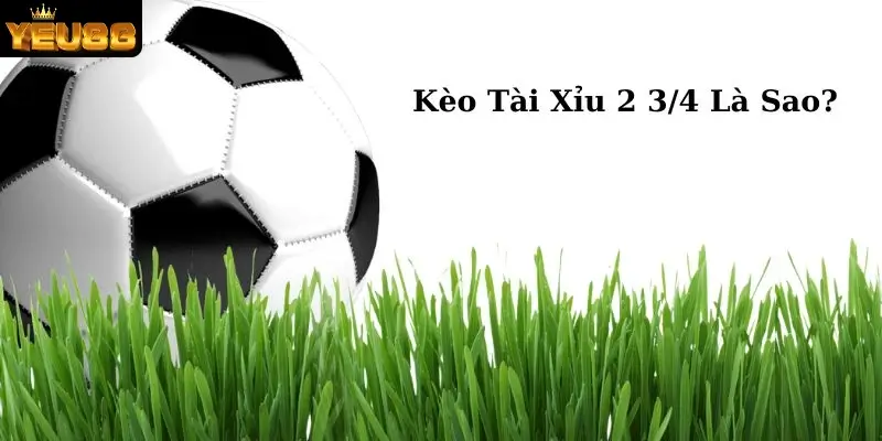Kèo Tài Xỉu 2 3/4 Là Sao? Kinh Nghiệm Soi Kèo Dễ Thắng