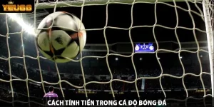 Cách tính tiền trong cá độ bóng đá
