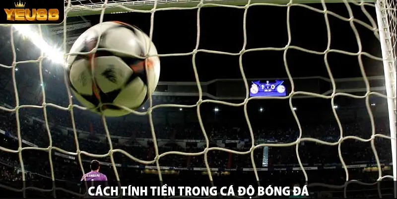 Cách Tính Tiền Trong Cá Độ Bóng Đá Và 1 Bí Quyết Kiếm Lời