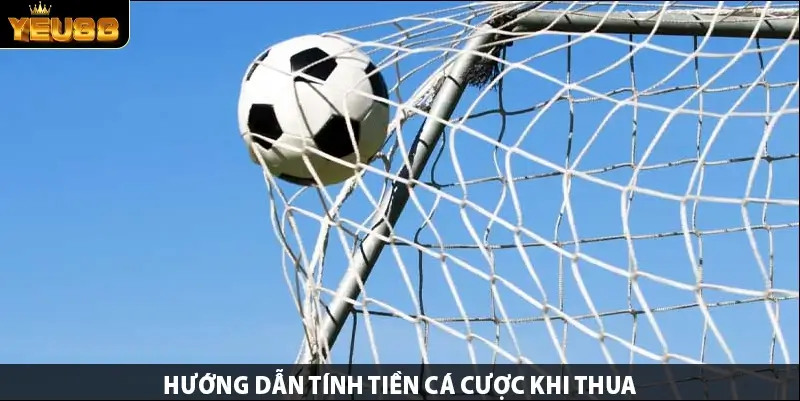 Hướng dẫn tính tiền cá cược khi thua