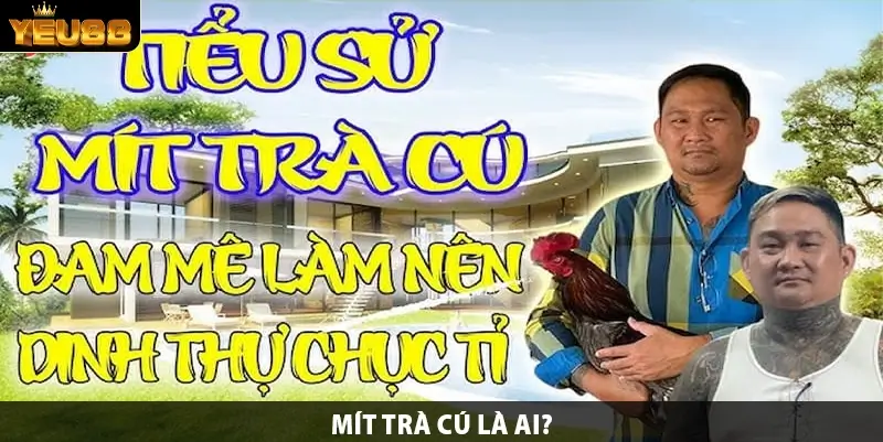 Mít trà cú là ai?