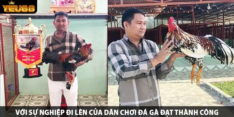 Với sự nghiệp đi lên của dân chơi đá gà đạt thành công