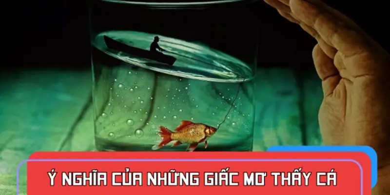 Khám phá ý nghĩa của những giấc mơ thấy cá thường gặp Khám phá ý nghĩa của những giấc mơ thấy cá thường gặp